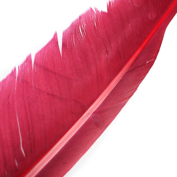 Pink goose feather calligraphy pen